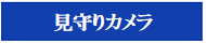 見守りカメラ